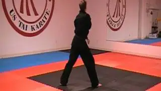 defense stance 1.MOD