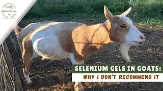 Why I don't recommend selenium gels