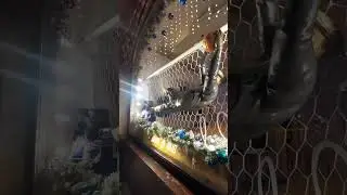 Шикарная Москва 