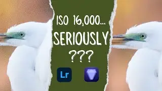 How to Remove High ISO Noise Easily in 2024!