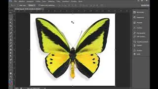 Corso PHOTOSHOP - Videotutorial sulla gestione dei FORMATI IMMAGINE JPEG e PNG