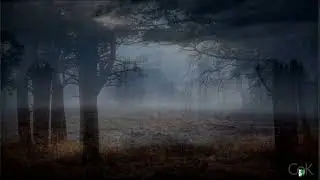 Лесопарк имени академика И И Синягина