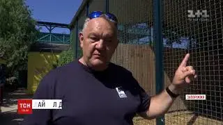 Сюжет от телеканала 1+1 о наших 5-х львах которые уехали в Африку