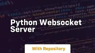 python websocket server