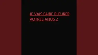 JE VAIS FAIRE PLEURER VOTRES ANUS 2