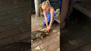 Do you love cats 🐈‍⬛ ? 