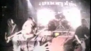 AMORPHIS / Against Widows