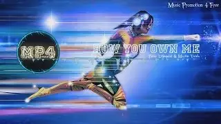 How You Own Me by Peter Liljeqvist & Martin Veida - [2010s Pop Music]
