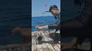 Pulau dan Penghargaan