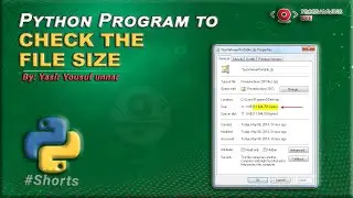 Python Program to Check the File Size 