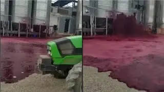 Испанскую винодельню затопило 50 тысячами литров красного вина #вино