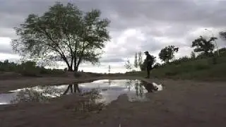 Sairunning II