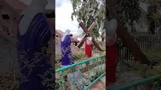 Religious garden
