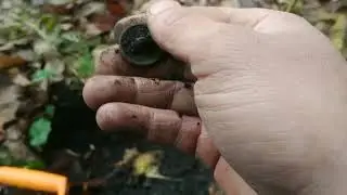 ультра и об ультре