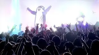 group_inou / THERAPY (LIVE)