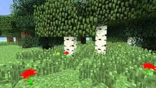 Rapidserbia hamachi minecraft server
