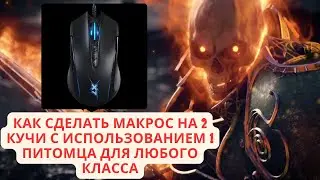 Как настроить макрос на 2 кучи с 1 питомцем почти любому классу в LineAge 2 main | RuOff | Airin