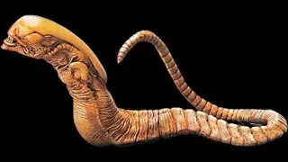 ИСКУССТВЕННАЯ ЖИЗНЬ - ИСТОРИЯ СОЗДАНИЯ ГОМУНКУЛА