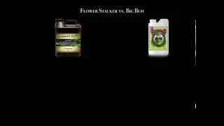 Flower Stacker v  Big Bud