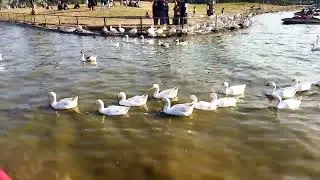 Central Park Model Town, Lahore Visit By MAMA Group