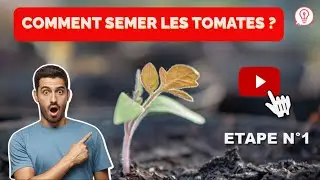 Semis Tomates - Comment semer les tomates ? (Etape N°1)