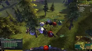 Guild Wars 2 Newb Play