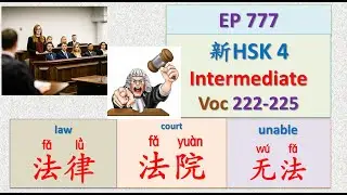 [EP 777] New HSK 4 Voc 222-225 (Intermediate): 法、法官、法律、法院 || 新汉语水平3.0中级词汇4 || Join My Daily Live