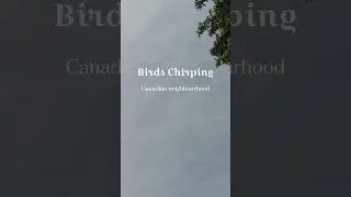 Canadian Neighbourhood Ambience