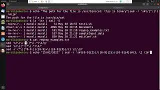 Linux shell scripting: sed part 2