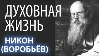 Что такое работа Духовная? Никон (Воробьев). Духовная жизнь. Душа