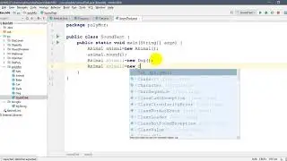 Java Basic Tutorial : polymorphism in java