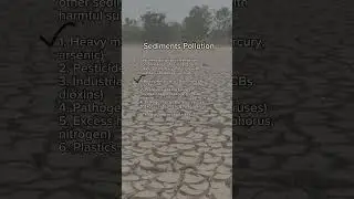 Sediment Pollution| Causes/ Sources