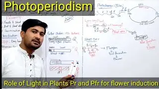 Photoperiodism class 12 | photoperiodism in plants | Role of Phytochromes in plants flowering