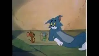 Мышка сказала пошёл нахер!