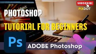 Photoshop Tutorial for Beginners | Everything You NEED to KNOW!