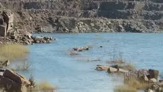 Токовское. Гранитный карьер.