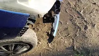 Последствия ДТП с животным на дороге
