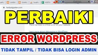 How to Fix WordPress Errors | Critical Error Messages Appear on Your Website