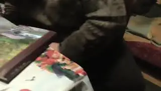 KONON PALI FILTRY XDDDDDDDD