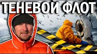 СУДНО ЗАТОНУЛО | ТЕНЕВОЙ ФЛОТ | ЛИЧНЫЙ ОПЫТ РАБОТЫ