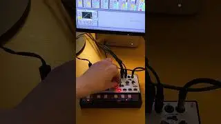 Volca Modular 20231229 (Ableton Live CV Tools)