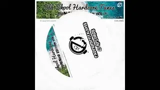 Old Skool Hardcore Tunes, Vol. 6