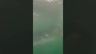 Surf training at the lake
