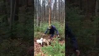 Хоч ТУТ можна погавкати!