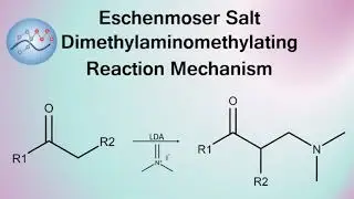 Eschenmoser Salt Dimethylaminomethylating Reaction Mechanism | Organic Chemistry