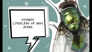 Лучшее средство от мух - Агита  . Ветаптека . Ферма дезинфекция. Животноводство . Сельское хозяйство