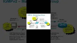 What is IGMP ? #ccna #ccie #cisco #cisconetworks  #ccnp