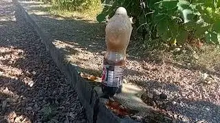 Эксперемены Кока Кола и Ментос