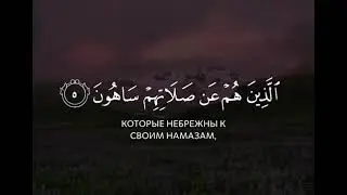 Красивое чтения корана Мухаммад аль Курди #shorts