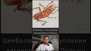 Цимбалюк о нападении на Польшу